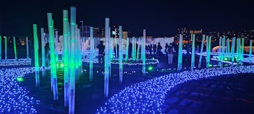 東京メガイルミに投稿された画像（2024/1/4）