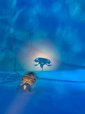 DinoScience 恐竜科学博 2023@TOKYO MIDTOWNに投稿された画像（2024/1/4）