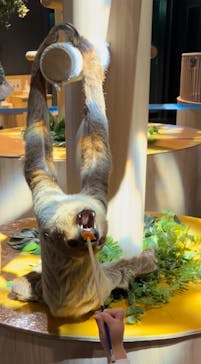 DMMかりゆし水族館に投稿された画像（2024/1/4）