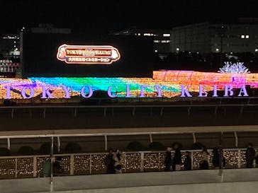 東京メガイルミに投稿された画像（2024/1/4）