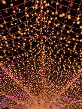 東京メガイルミに投稿された画像（2024/1/4）