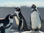 仙台うみの杜水族館に投稿された画像（2024/1/4）