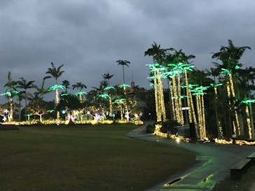 美らヤシパークオキナワ・東南植物楽園に投稿された画像（2024/1/4）