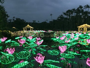 美らヤシパークオキナワ・東南植物楽園に投稿された画像（2024/1/4）