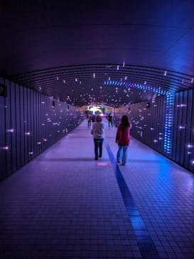 東京メガイルミに投稿された画像（2024/1/4）