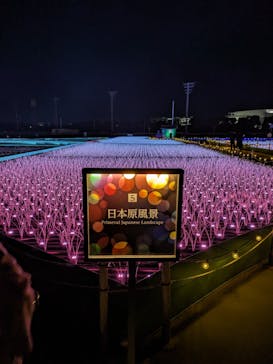 東京メガイルミに投稿された画像（2024/1/4）