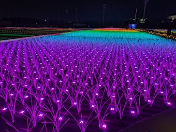 東京メガイルミに投稿された画像（2024/1/4）