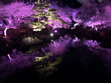 日本庭園　由志園に投稿された画像（2024/1/4）