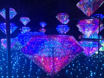 伊豆ぐらんぱる公園に投稿された画像（2024/1/4）