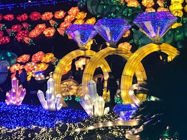 伊豆ぐらんぱる公園に投稿された画像（2024/1/4）