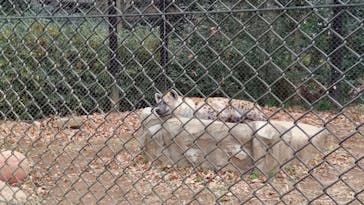 千葉市動物公園に投稿された画像（2024/1/4）