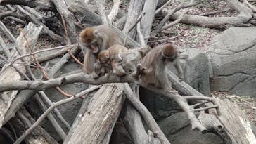千葉市動物公園に投稿された画像（2024/1/4）