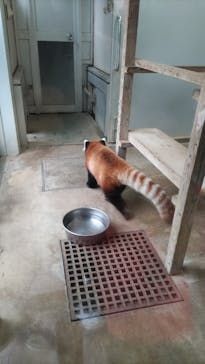 千葉市動物公園に投稿された画像（2024/1/4）