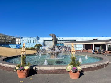 南知多ビーチランド＆南知多おもちゃ王国に投稿された画像（2024/1/4）