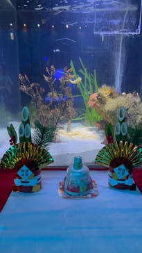 南知多ビーチランド＆南知多おもちゃ王国に投稿された画像（2024/1/4）