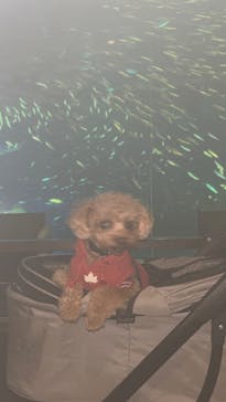 南知多ビーチランド＆南知多おもちゃ王国に投稿された画像（2024/1/4）