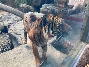 神戸どうぶつ王国に投稿された画像（2024/1/4）