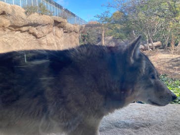 神戸どうぶつ王国に投稿された画像（2024/1/4）