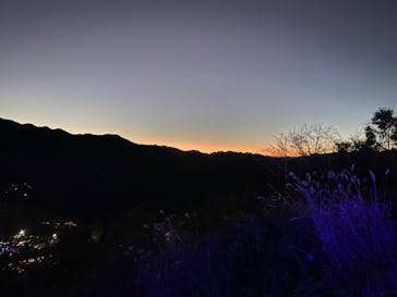 さがみ湖MORI MORIに投稿された画像（2024/1/4）