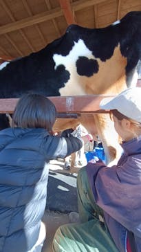 成田ゆめ牧場に投稿された画像（2024/1/4）