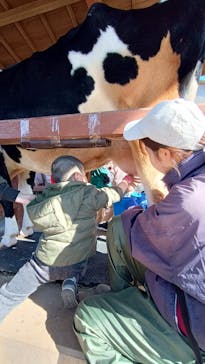 成田ゆめ牧場に投稿された画像（2024/1/4）