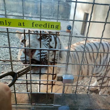 群馬サファリパークに投稿された画像（2024/1/4）