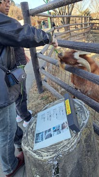 群馬サファリパークに投稿された画像（2024/1/4）