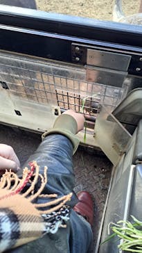 群馬サファリパークに投稿された画像（2024/1/4）