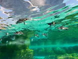 天王寺動物園に投稿された画像（2024/1/4）