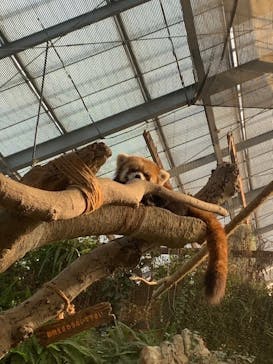 神戸どうぶつ王国に投稿された画像（2024/1/4）