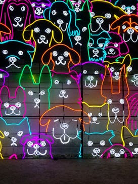 神戸イルミナージュに投稿された画像（2024/1/4）