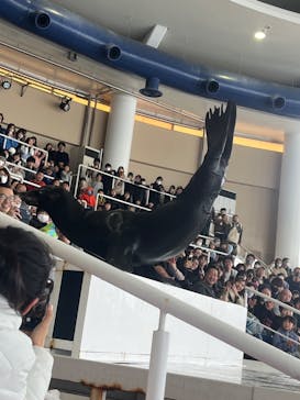 アクアワールド茨城県大洗水族館に投稿された画像（2024/1/4）