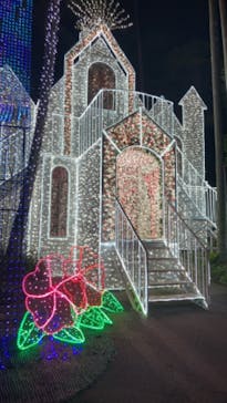 美らヤシパークオキナワ・東南植物楽園に投稿された画像（2024/1/4）