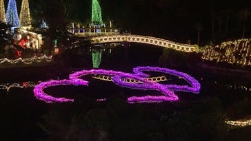 美らヤシパークオキナワ・東南植物楽園に投稿された画像（2024/1/4）