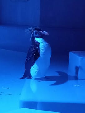 AOAO SAPPOROに投稿された画像（2024/1/4）