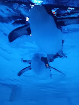 AOAO SAPPOROに投稿された画像（2024/1/4）