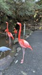 伊豆シャボテン動物公園に投稿された画像（2024/1/4）