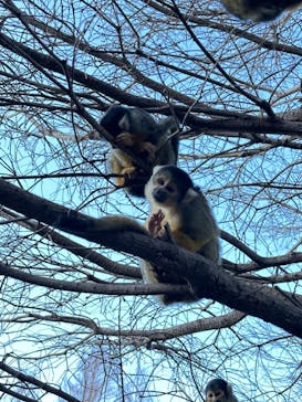伊豆シャボテン動物公園に投稿された画像（2024/1/4）