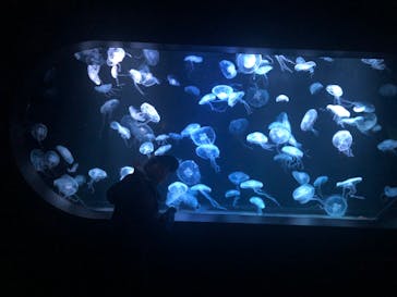 AOAO SAPPOROに投稿された画像（2024/1/4）