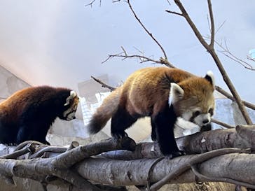 那須どうぶつ王国に投稿された画像（2024/1/4）