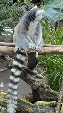 那須どうぶつ王国に投稿された画像（2024/1/4）