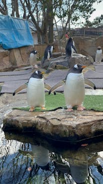 那須どうぶつ王国に投稿された画像（2024/1/4）