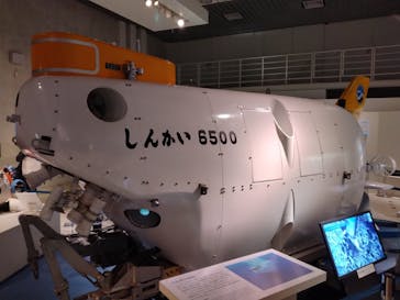 国立科学博物館に投稿された画像（2024/1/4）