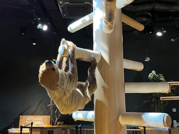 DMMかりゆし水族館に投稿された画像（2024/1/4）