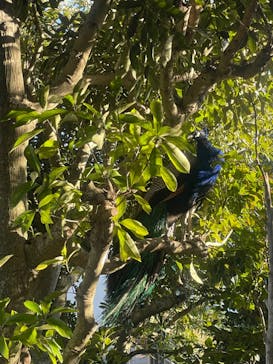 伊豆シャボテン動物公園に投稿された画像（2024/1/4）