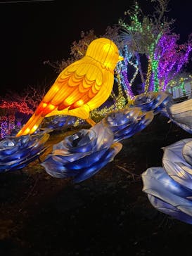 伊豆ぐらんぱる公園に投稿された画像（2024/1/4）