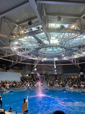 マクセル アクアパーク品川に投稿された画像（2024/1/4）