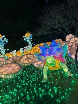 伊豆ぐらんぱる公園に投稿された画像（2024/1/4）