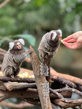 那須どうぶつ王国に投稿された画像（2024/1/4）