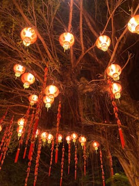 体験王国 むら咲むらに投稿された画像（2024/1/5）